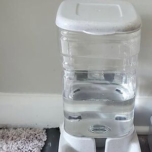 Zero gravity dog water bubbler